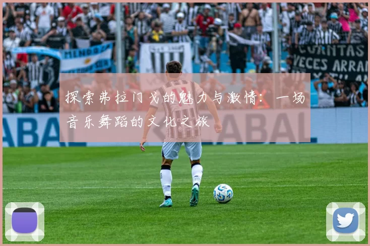 探索弗拉门戈的魅力与激情：一场音乐舞蹈的文化之旅