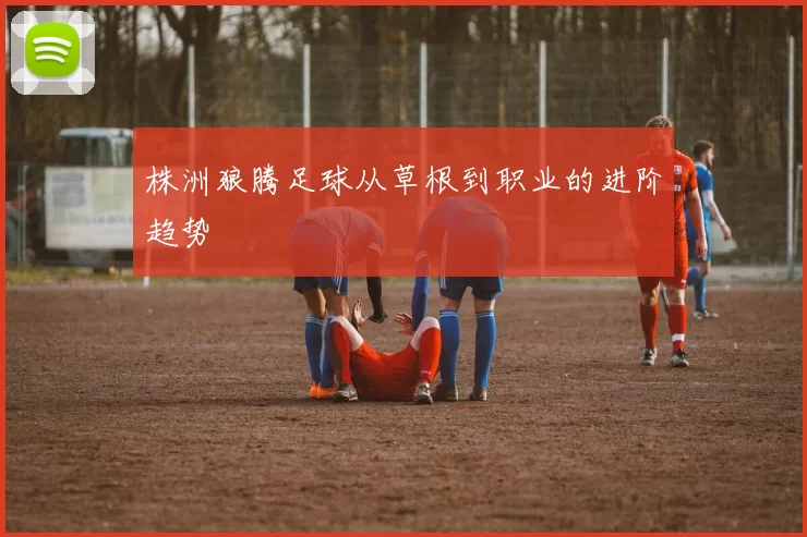 株洲狼腾足球从草根到职业的进阶趋势
