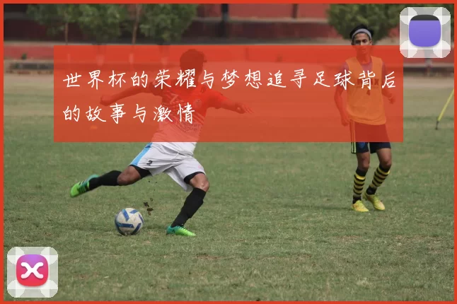 世界杯的荣耀与梦想追寻足球背后的故事与激情