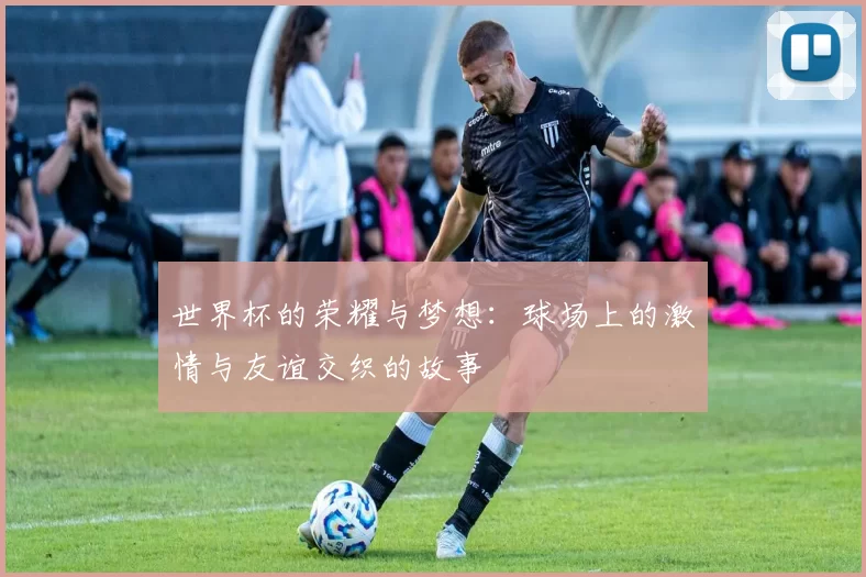 世界杯的荣耀与梦想：球场上的激情与友谊交织的故事