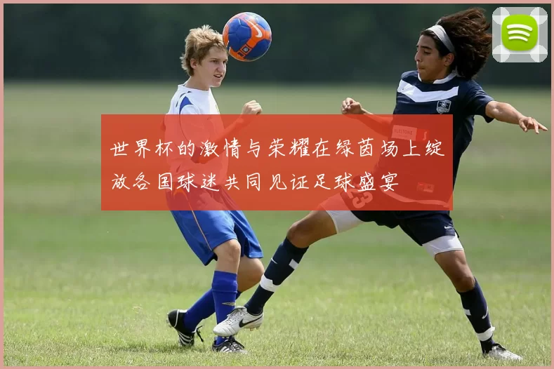 世界杯的激情与荣耀在绿茵场上绽放各国球迷共同见证足球盛宴