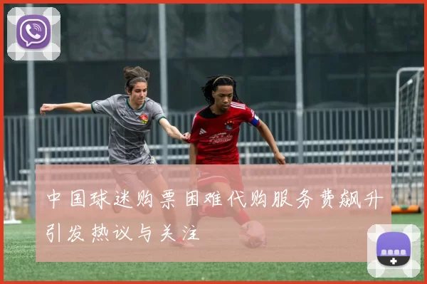 中国球迷购票困难代购服务费飙升引发热议与关注