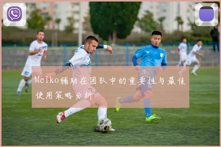 Meiko辅助在团队中的重要性与最佳使用策略分析